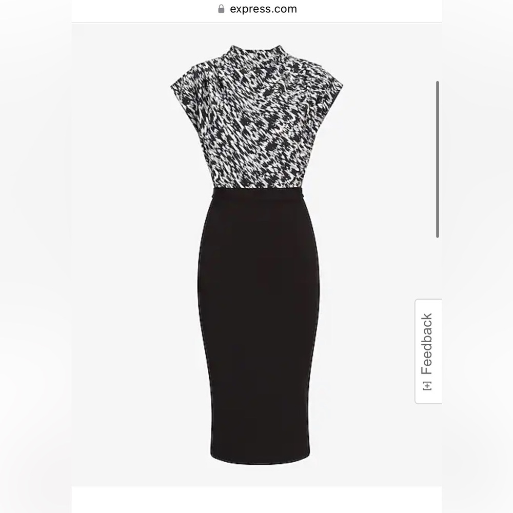 Brand New Express Dress